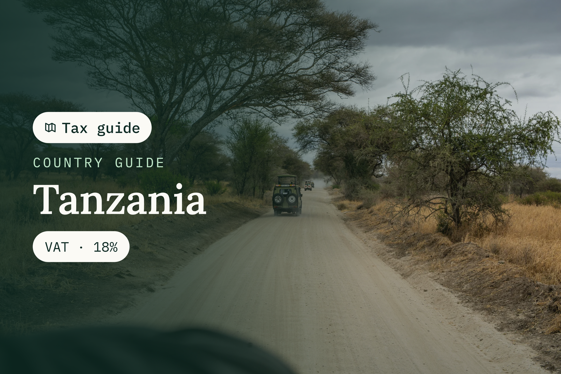 Tanzania VAT Compliance for Digital Services: Key Rules and Requirements
